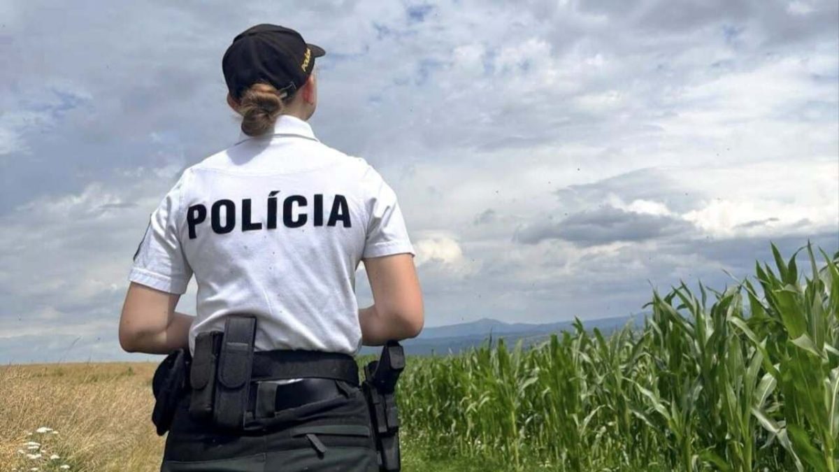 Trojročný chlapec zmizol v kukuričnom poli. V obci pod Tatrami po ňom pátrajú aj pomocou dronu, polícia žiada o pomoc