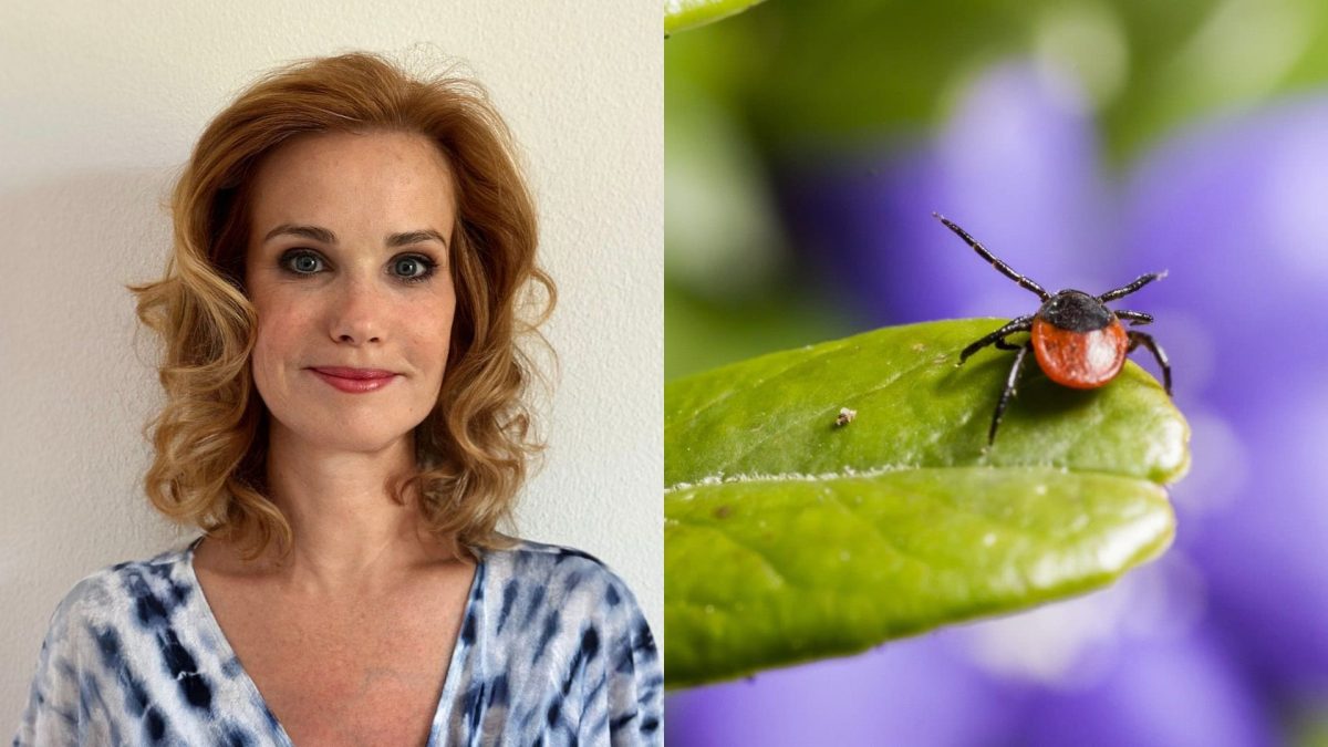 „Borelióza sa nemusí prejaviť červeným kruhom,“ varuje odborníčka. Slováci robia pri kliešťoch nebezpečné chyby