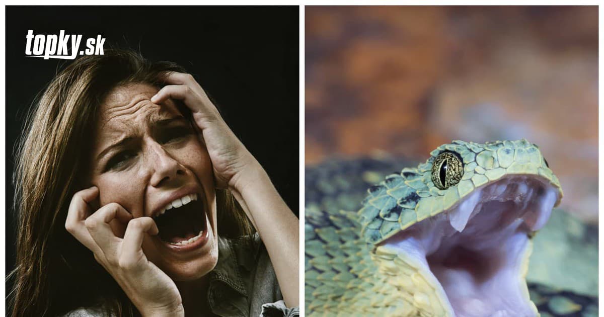 Žena sa v Belehrade zobudila s hadom omotaným okolo krku