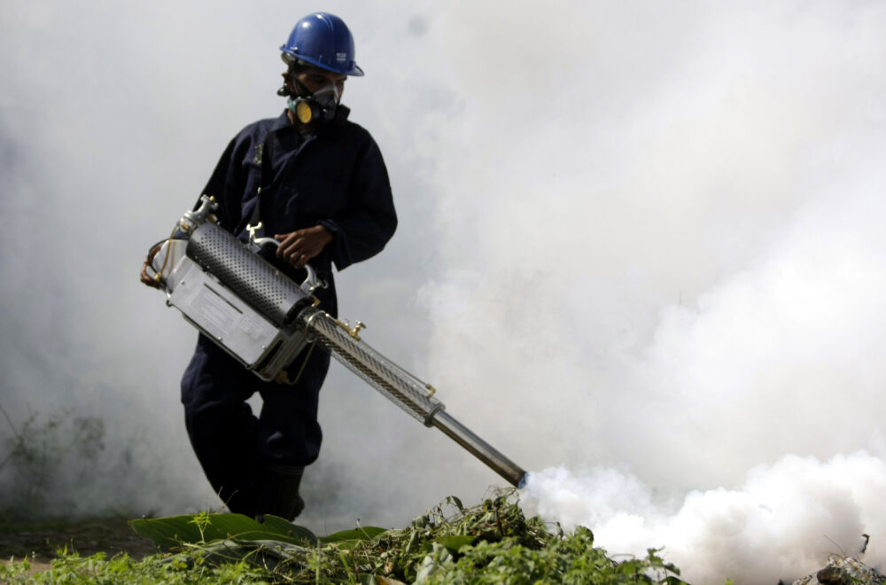 Aedes aegypti: oko 1.800 brazilskih gradova u pripravnosti