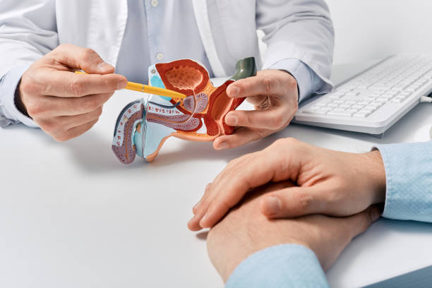 Prostata mărită: cercetătorii au identificat celulele WIF1+